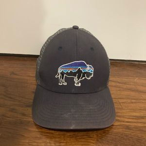 Patagonia Trucker Hat